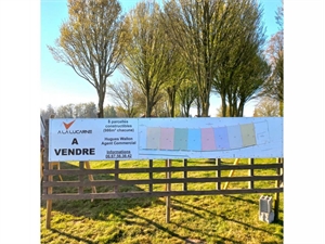 terrain à la vente -   62310  RUISSEAUVILLE, surface 986 m2 vente terrain - UBI467718614